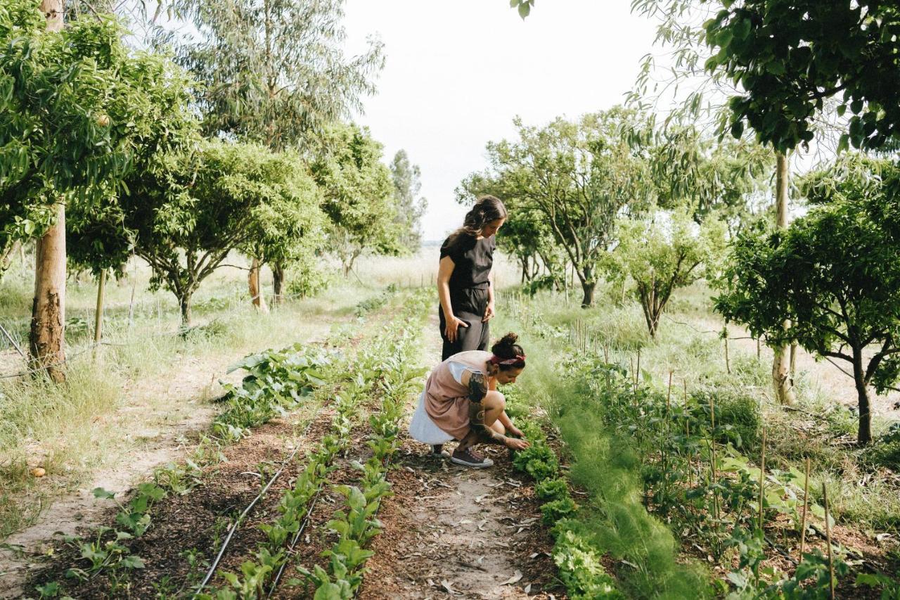 Вилла Humus Farm Aguas de Moura Экстерьер фото