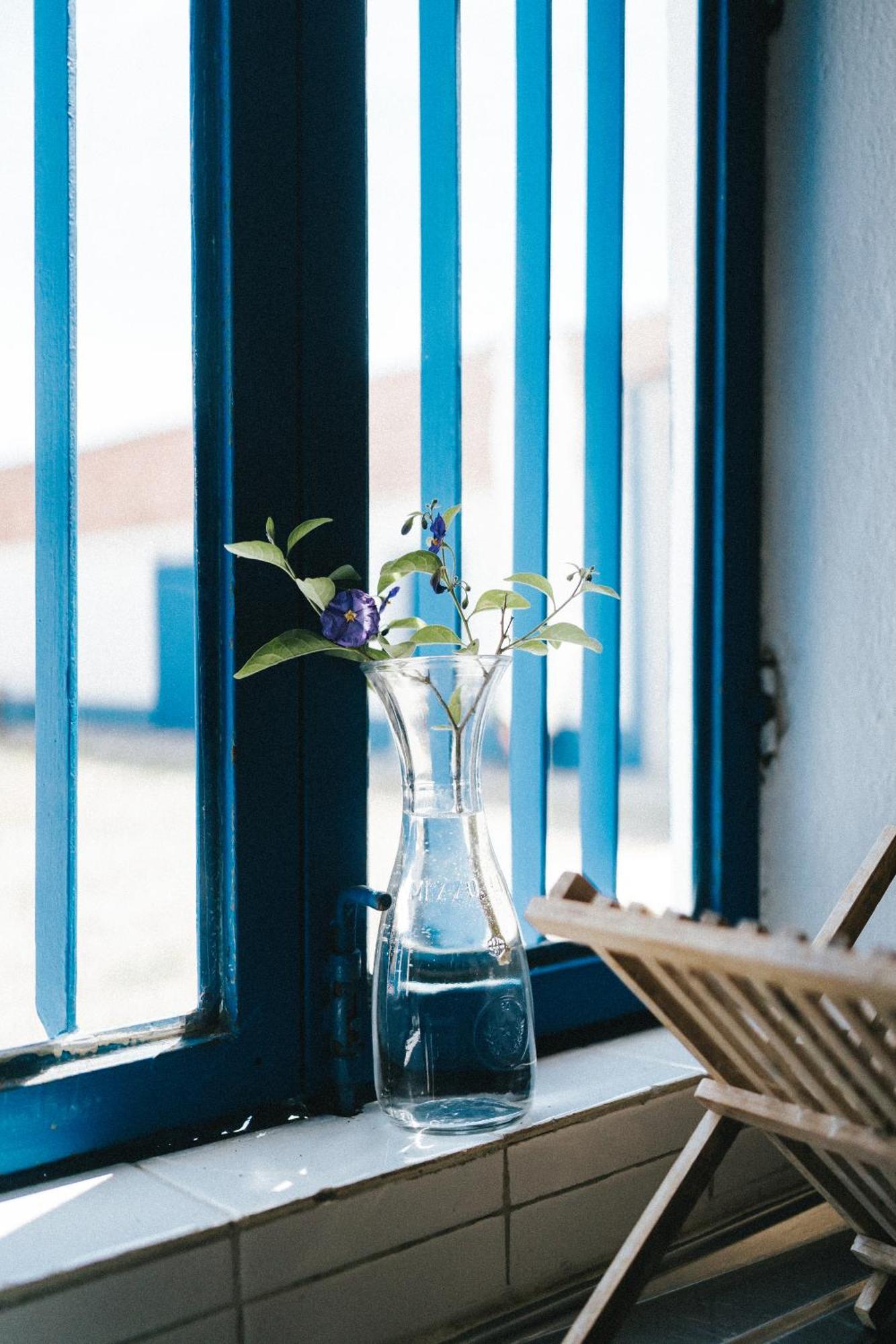 Вилла Humus Farm Aguas de Moura Номер фото